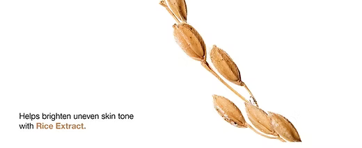 ANUA Rice Ceramide 7 Hydrating Barrier Serum (50ml) ANUA Rice Ceramide 7 Hydrating Barrier Serum (50ml)