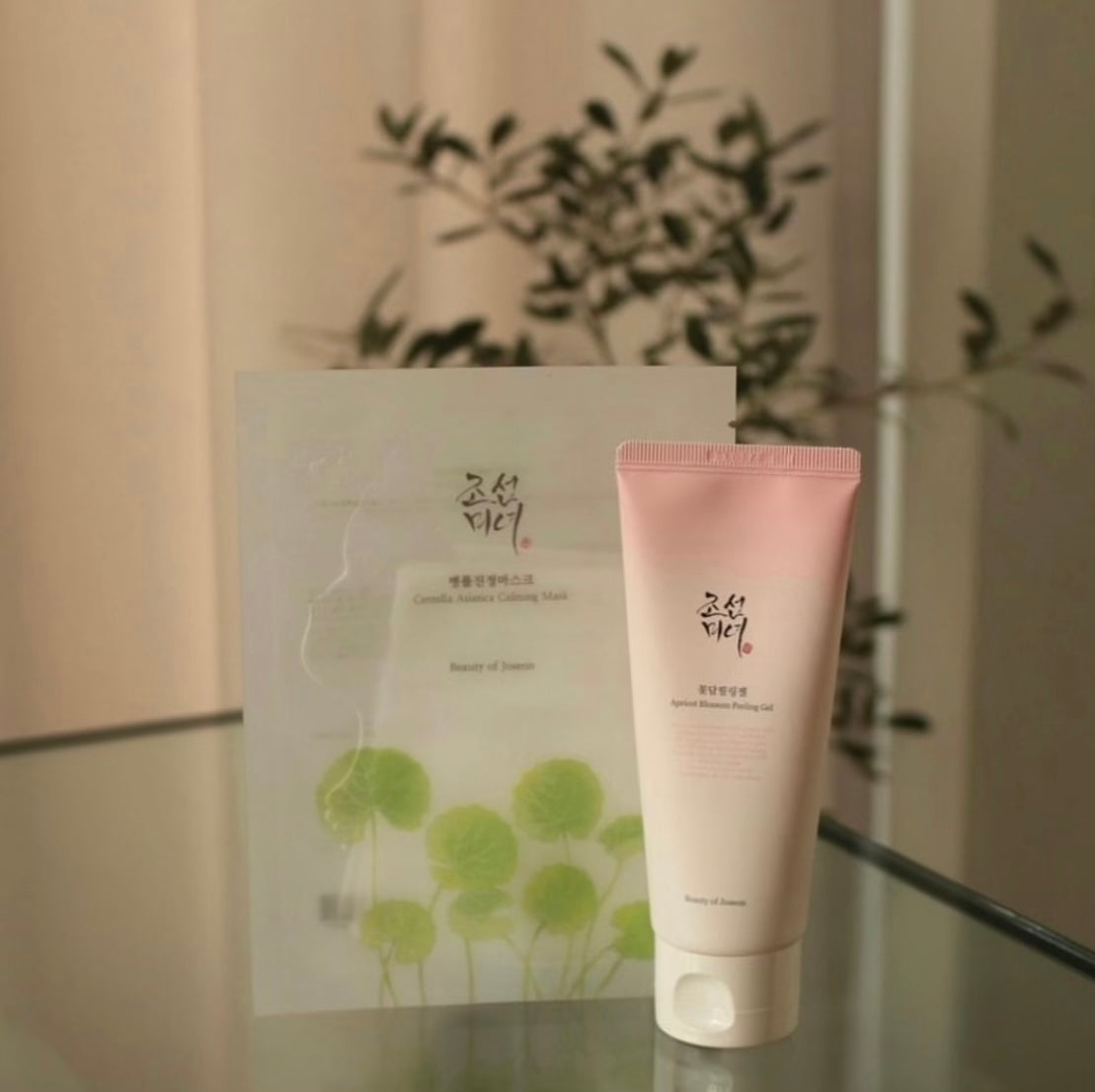 Beauty of Joseon - Exfoliation Care Set *Bundle Pack Promotion* Beauty of Joseon - Exfoliation Care Set *Bundle Pack Promotion*