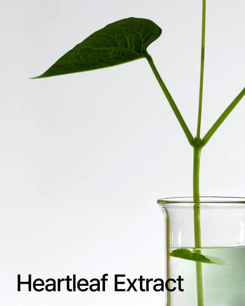 Anua Heartleaf Pore Control Cleansing Oil with packaging box, 200ml retail set Anua Heartleaf Pore Control Cleansing Oil with packaging box, 200ml retail set