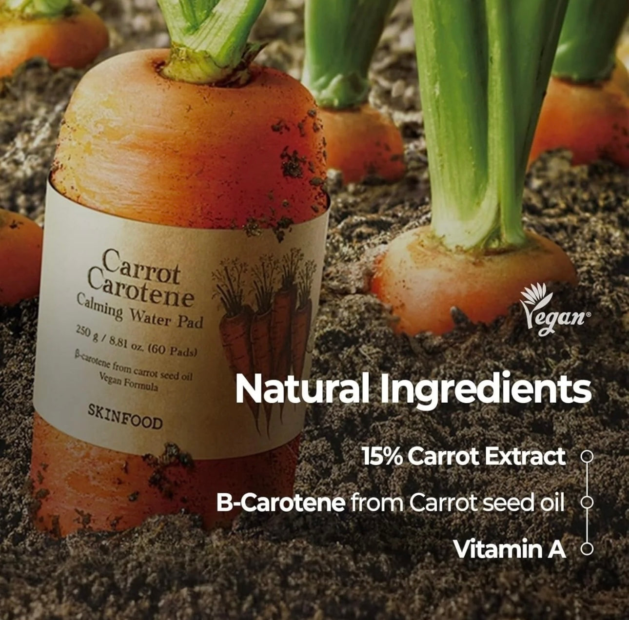 Incorporating the Skinfood carrot pad review into a daily skincare routine for refreshed skin. Incorporating the Skinfood carrot pad review into a daily skincare routine for refreshed skin.