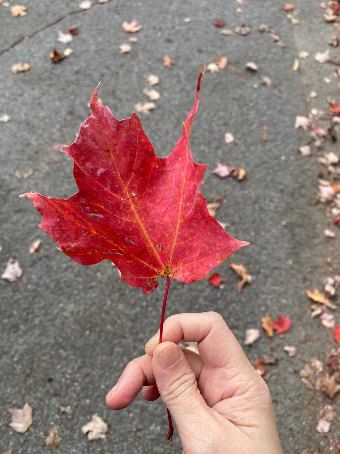 Your Ultimate Autumn-Friendly Skincare Hack