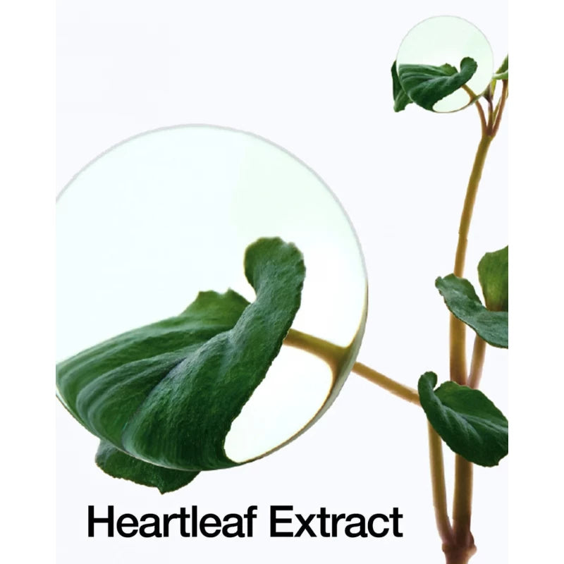 ANUA Heartleaf 77% Soothing Toner 150ml