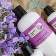 Lavender Cove Nourishing Lotion - NEW Scent for Fall