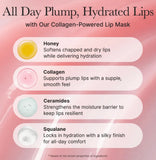 ARENCIA Honey Glazed Collagen Lip Mask - 15g