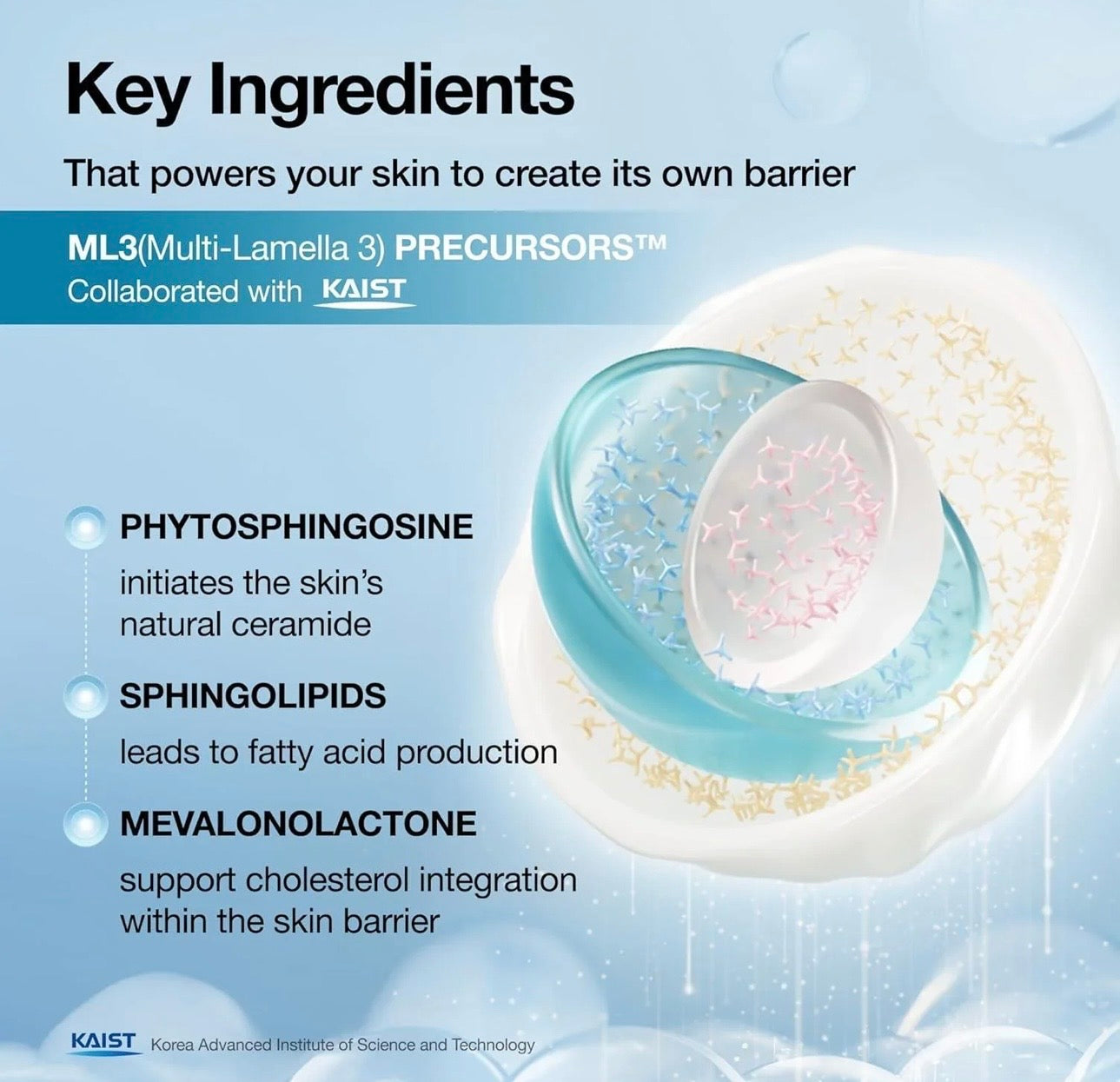 ANUA Barrier Intensive Cream Kpop Demon Hunters Collaboration 50ml