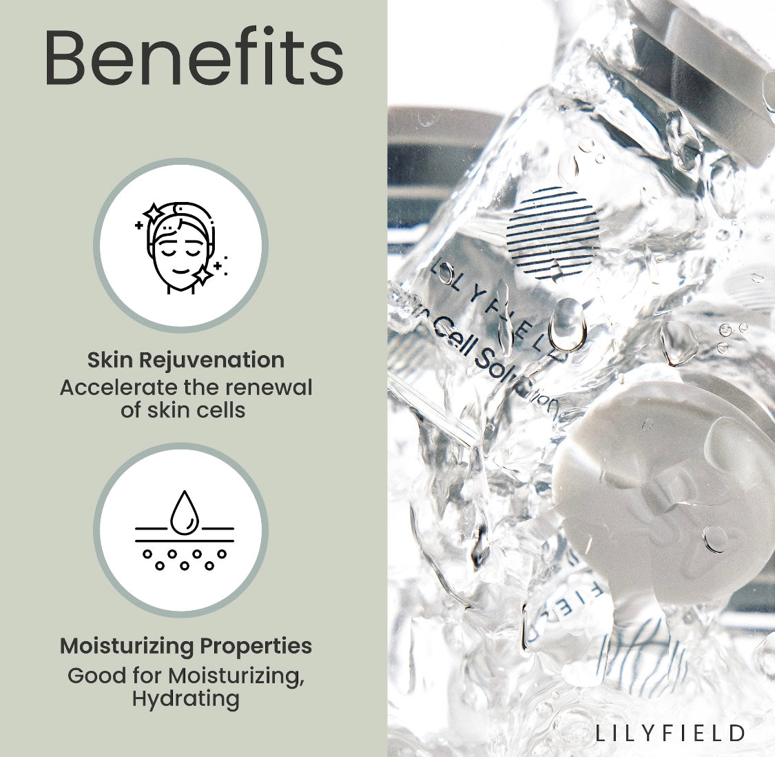 LILYFIELD Stem Cell Anti-Aging Duo