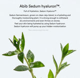 Abib Sedum Hyaluron Pad Hydrating Touch 75pcs