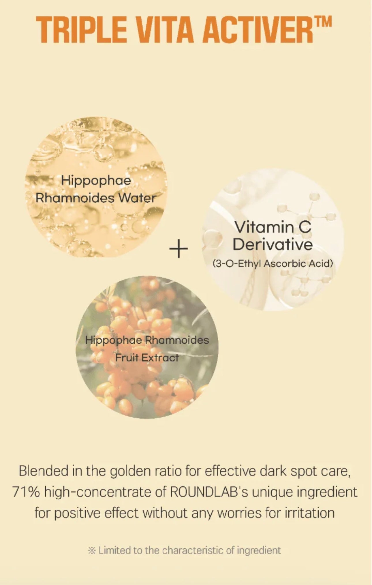 Key ingredients in Round Lab Dark Spot Cream - Vita Niacinamide and Birch Juice