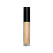 Cache-cernes vegan FencyGrace - Fency 110