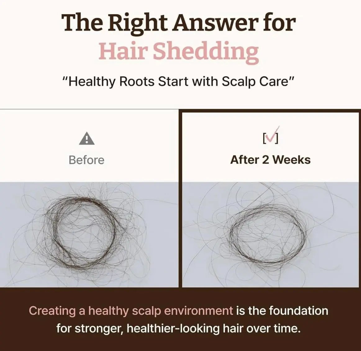 Applying Dr. Reju-All Advanced Hair Density Serum to scalp with metal ball