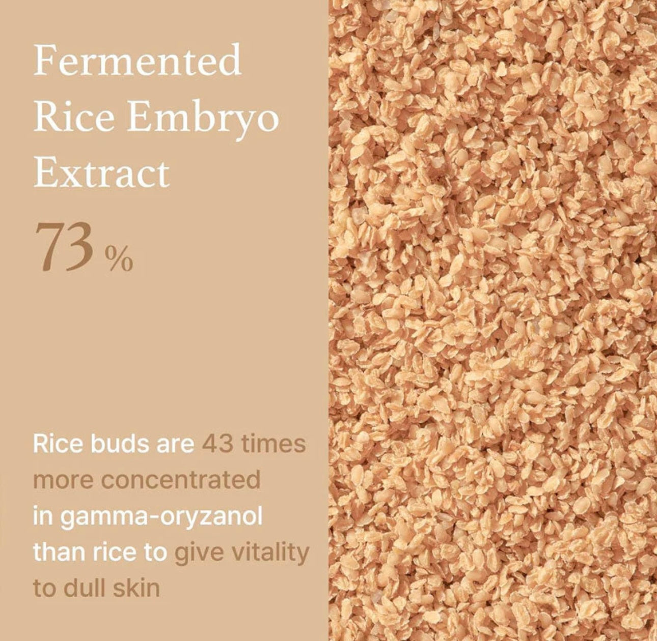 I'm From Rice Serum pictured with its full skincare routine collection.