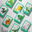 Innisfree Energy Mask Bundle Pack – 10pcs variety set with aloe, green tea, rose, and more