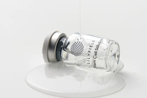 Close-up of LILYFIELD Stem Cell Solution box and label showing product name and packaging