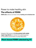 Infographic explaining how VT PDRN Essence 100 strengthens the skin barrier.